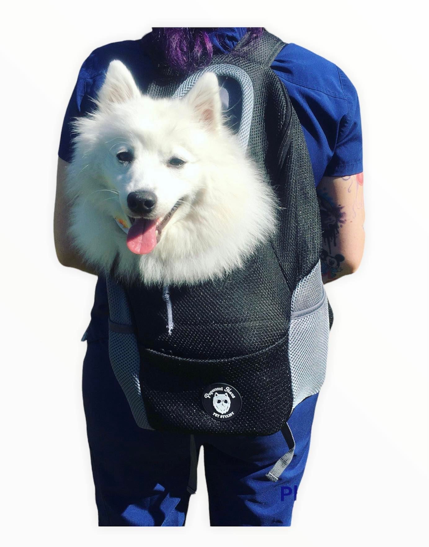 Dog travel bag, dog backpack, bags for dogs. Puparazzi Haus pet travel