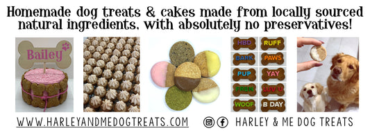 Harley & Me Dog Treats: Homemade Delights for Your Pawsitively Adorable Pooch!