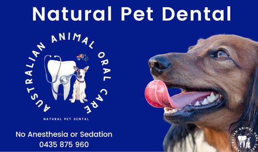 Keep Your Pets' Smiles Healthy: Australian Animal Oral Care is Coming to Cairns!