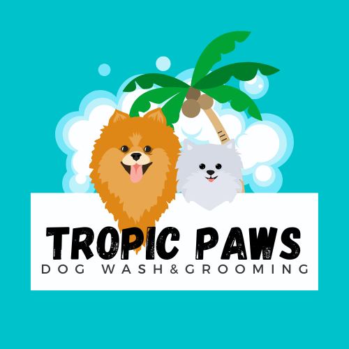 Tropic Paws: Convenient and Professional Dog Grooming Services Delivered to Your Doorstep