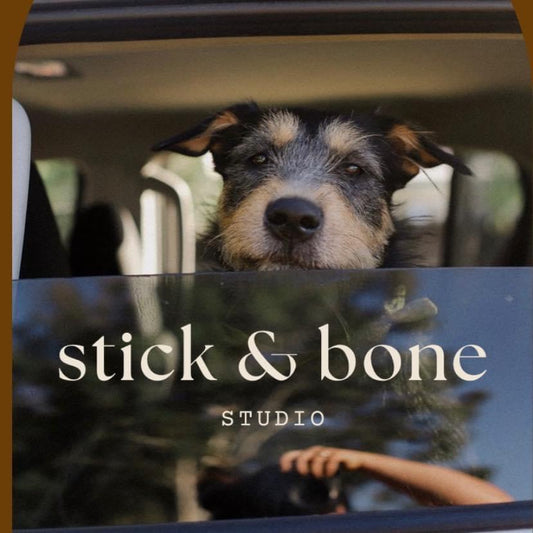 Celebrating the Bond: Stick & Bone Studio, Where Pet Photography Comes to Life