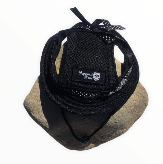Adorable Puparazzi haus black dog hat with white spotty ribbon. 