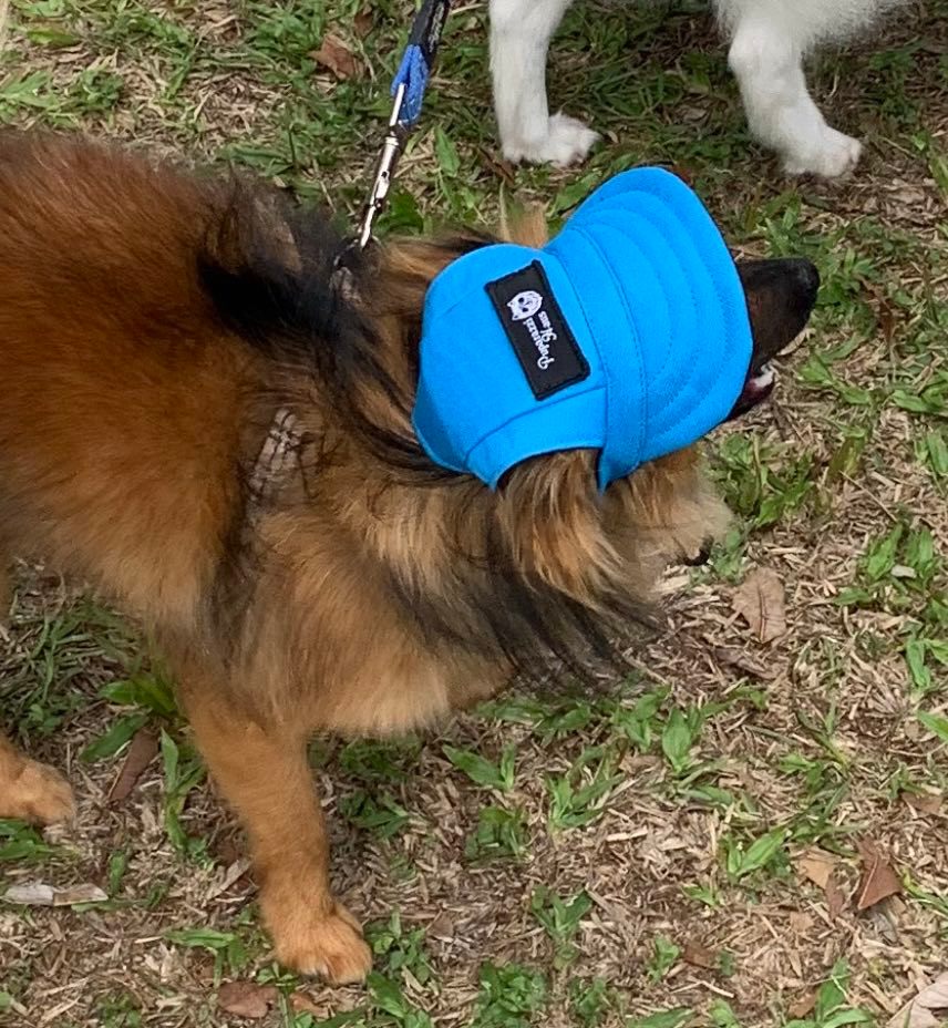 Adorable Puparazzi haus blue dog cap hat with draw string to keep it in place. Dogs wearing hats